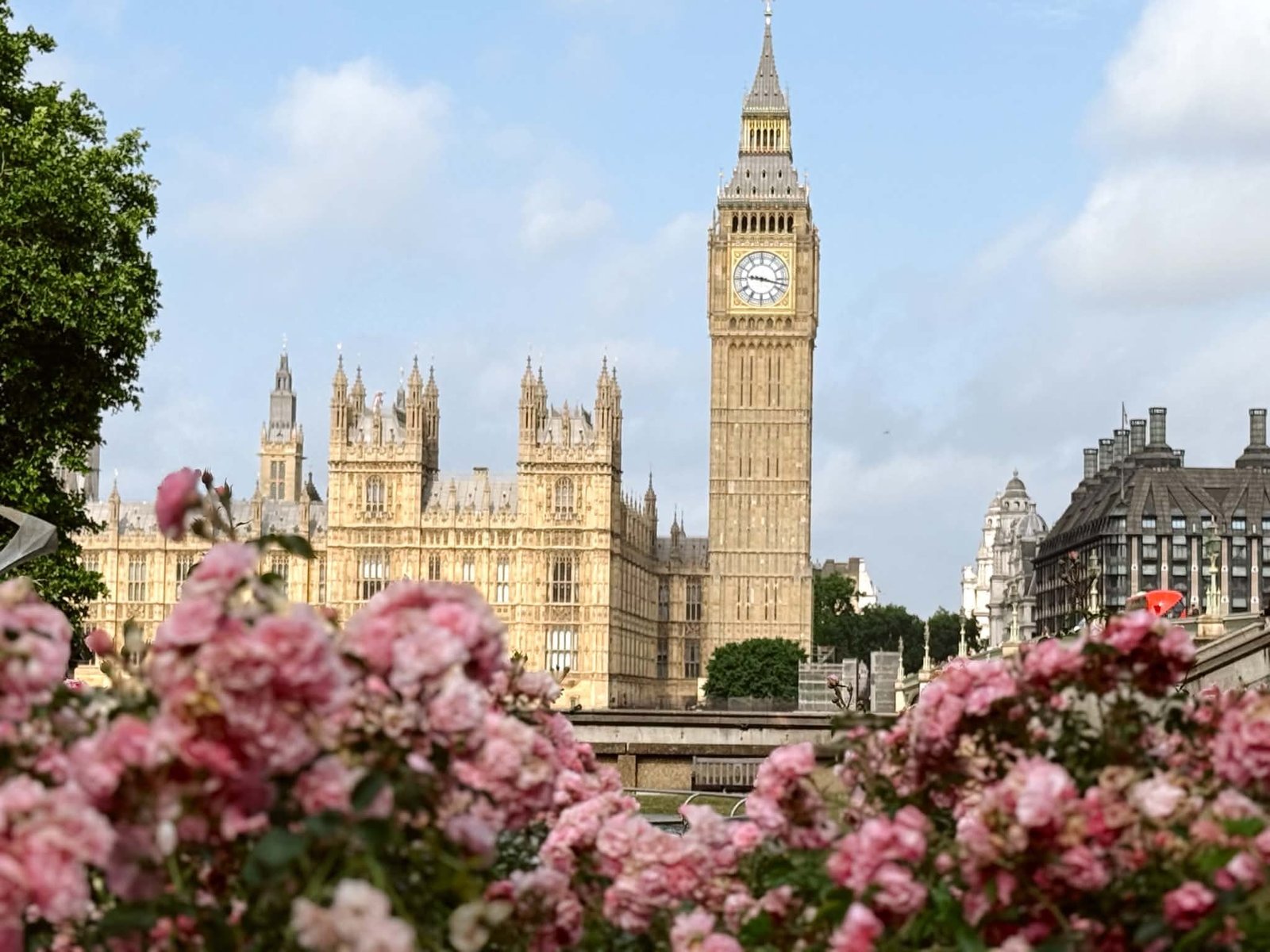 Биг Бен и Парламентът зад розови рози
